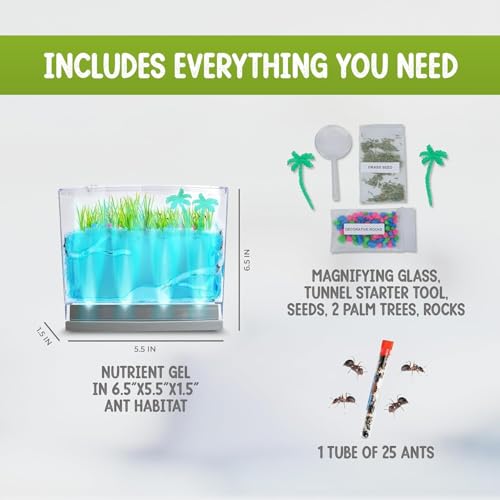Lighted Gel Ant Habitat Kit with Live Ants (1 Tube) Eco-Terrarium Bundle