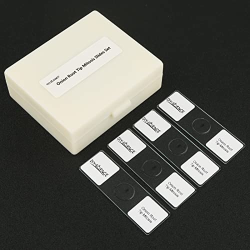 Onion Root Tips Mitosis Microscope Slides Set, 25PCS Pack Slides Show Plant Mitosis for Biology Science Class (25 Count) - color: 25 count
