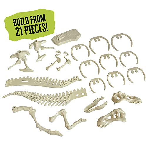 Thames & Kosmos Giant Dinosaur: T. Rex Skeleton Model | STEM Activity | Build a 26-in Long T. Rex Skeleton | Explore Paleontology & Learn Fun Dino Facts | Includes Manual with Step-by-Step Assembly