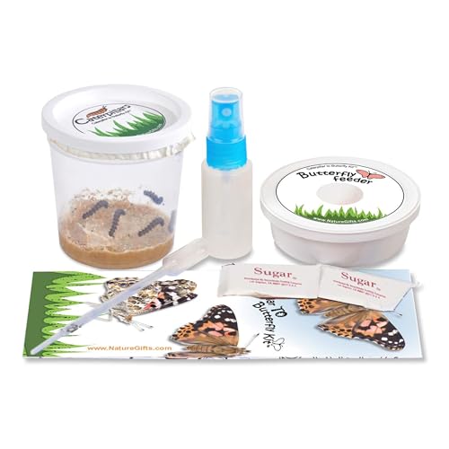 5 Live Caterpillars for Butterfly Kits, Refill with Food, Rearing Supplies - style: 1 Pack + Supplies