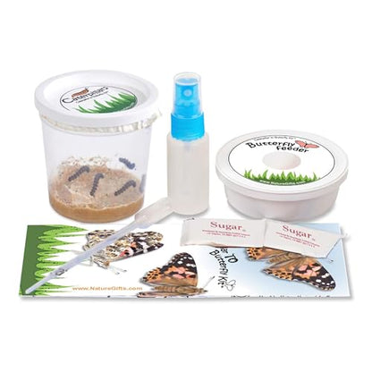 5 Live Caterpillars for Butterfly Kits, Refill with Food, Rearing Supplies - style: 1 Pack + Supplies