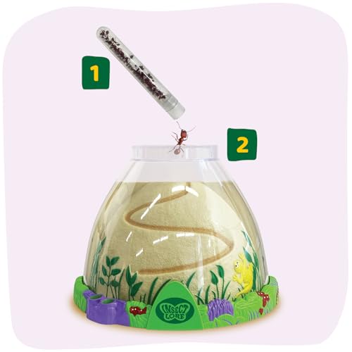 Insect Lore Ant Hill - Ant Habitat with Voucher to Redeem Live Western Harvester Ants - STEM Learning and Education Project for Classrooms or Homeschool