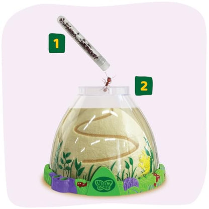 Insect Lore Ant Hill - Ant Habitat with Voucher to Redeem Live Western Harvester Ants - STEM Learning and Education Project for Classrooms or Homeschool