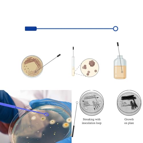 30 PCS 90mm 2 Compartments Plastic Petri Dish with Lids, Sterile with 10PCS 10uL Inoculation Loops - size: 2grids 90mm