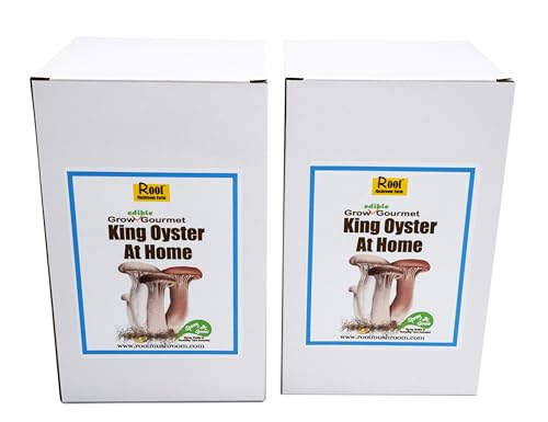 Two Mushroom Grow Kits, 3Lb Each (Two King Oyster Kits) - style: Two King Oyster Kits
