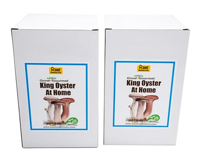 Two Mushroom Grow Kits, 3Lb Each (Two King Oyster Kits) - style: Two King Oyster Kits