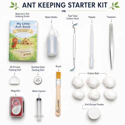 Beginner Ant Nest with Foraging Area and Humidity Zone, Dry Wet Separation Plaster Chamber, Fits 15mm Test Tubes, for Small to Medium Ant Colonies - size: Starter Kit
