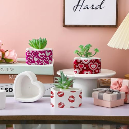 Beeveer 6 Pcs DIY Craft Kits Make Your Own Ceramic Succulent Planters Paintable Heart Shaped Decoration, and Ceramic Succulent Planters Kit for Mother's Day from Daughter Son