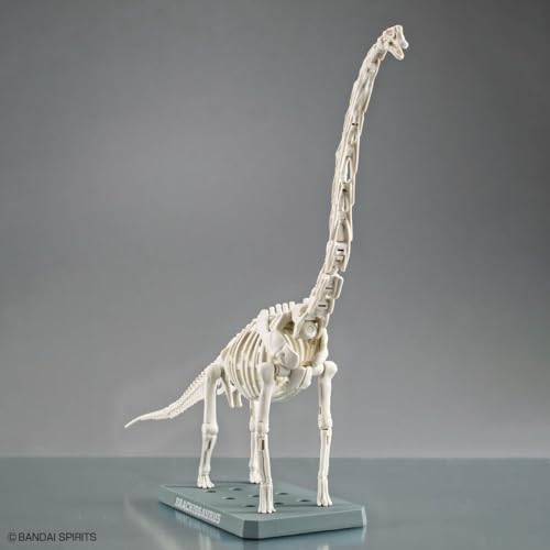 Bandai Hobby - Plannosaurus - #10 Brachiosaurus Dinosaur Model Kit