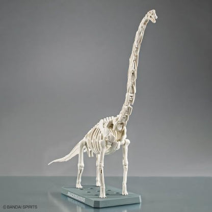 Bandai Hobby - Plannosaurus - #10 Brachiosaurus Dinosaur Model Kit