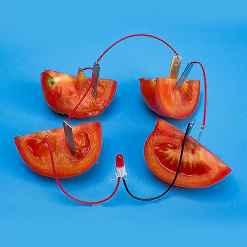 Bio Energy Science Kit, Potato Lemon Battery Experiment Set for Kids, with Digital Clock and Light Bulb, Green Energy Learning Project with Zinc Copper Plates Wires