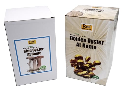 Two Mushroom Grow Kits, 3Lb Each (King Oyster & Golden Oyster) - style: King Oyster & Golden Oyster