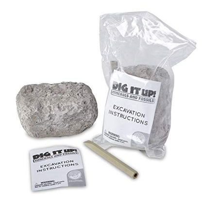 MindWare Dig It Up! Stone Fossil Dig Kits for Kids