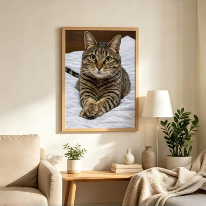 CHWGLFGG 5D Cute Cat Diamond Art Kits for Adults Beginners 12x16inch - color: KM1327-1
