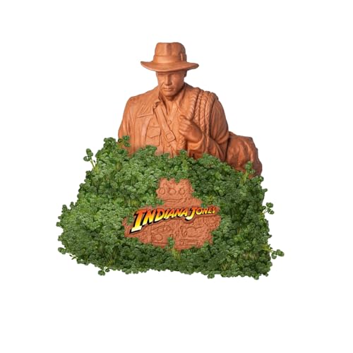 Chia Pet Indiana Jones Terracotta Planter with Seed Pack - style: Indiana Jones