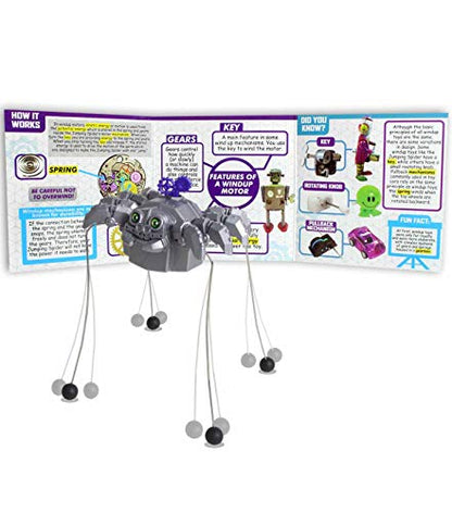 STEM Projects Jumping Spider - color: Jumping Spider
