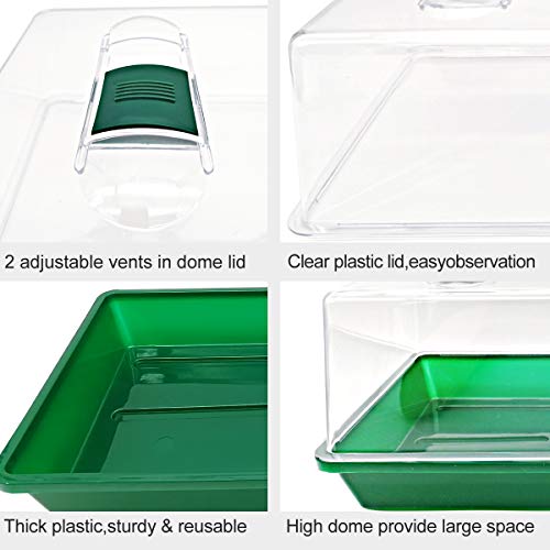 Propagator Tray with Vented Dome, Thick Mini Greenhouse for Seedlings