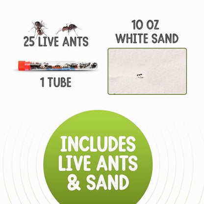 25 Live Ants for Ant Farms (1 Tube) with 10 oz Ant Farm Sand Refill - style: 25 Live Ants+Sand