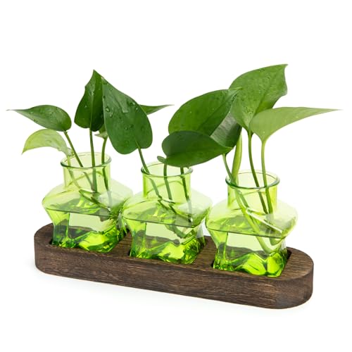 XXXFLOWER Plant Propagation Station with Wooden Stand 3 Green Star Jars - color: Green
