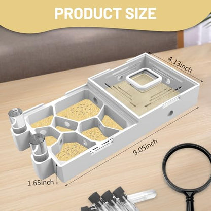 Nest Farm for Live Ants and Queen - Ant Farms with Yellow Sand Observation Transparent Ant Farm for Adults 3D Printed Nest Ant Workshop Castle Ant Garden Queen (Kit-A) - style: Model-A
