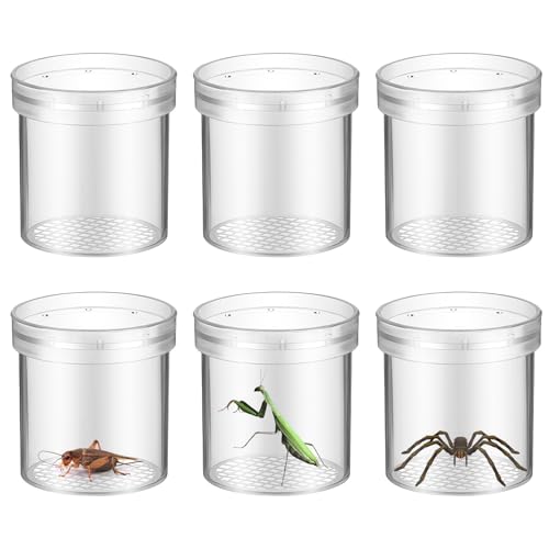 STOBOK Insect Observation Cup 2.75 Inch Transparent Bug Viewer Jar with Magnifying Lid and Air Vent 6 Pack for Kids Outdoor Nature Exploration and Educational Play
