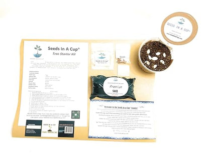 Seeds In A Cup- Tree Growing Kit- Multiple Types of Trees (Pecan)