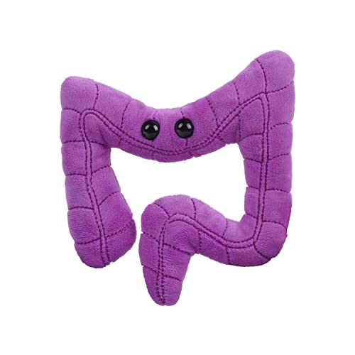 GIANT MICROBES Colon Plush, Gastroenterology Gifts, Organ Plushies