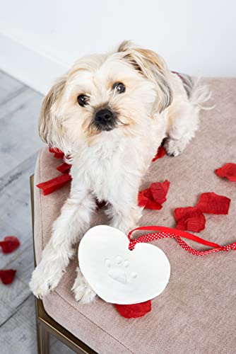 Pearhead Heart Paw Print Keepsake Kit, DIY Keepsake Kit - color: Pawprints Heart Keepsake, size: 1-Pack