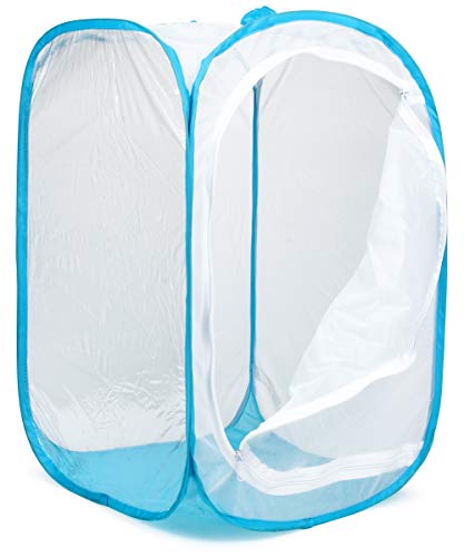 RESTCLOUD 36" Large Monarch Butterfly Habitat, Giant Collapsible Insect Mesh Cage Terrarium Pop-up 24 x 24 x 36 Inches - color: White with Blue