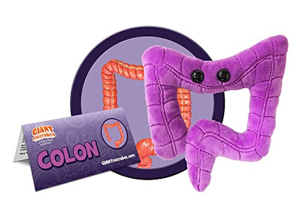 GIANT MICROBES Colon Plush, Gastroenterology Gifts, Organ Plushies