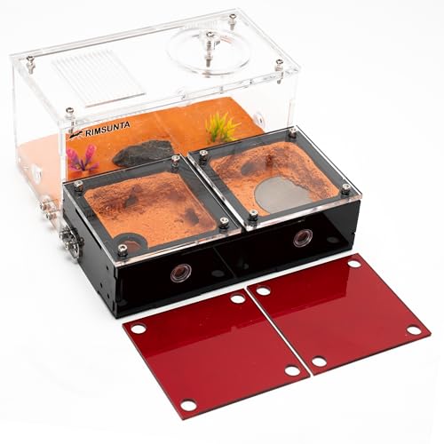 Terra Core Expandable Dual Chamber Formicarium Ant Nest with Starter Kit - size: Terra Core Series-Expandable Dual Chamber