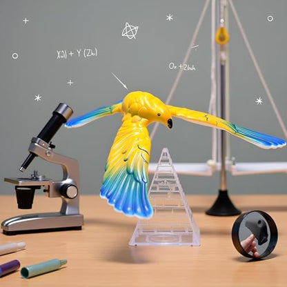 2Pcs Balance Bird with Clear Triangle Stand, Educational Physics Gravity Demonstration, Science Kit