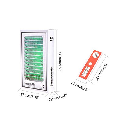 Jiusion 60Pcs Prepared Microscope Slides Specimen Set for Stereo Microscope - size: 60Pcs