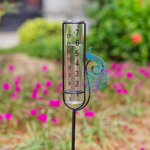 Stargarden Rain Gauge, Outdoor Peacock Rain Gauge - color: Blue peacock