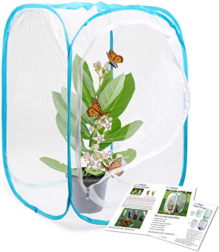 RESTCLOUD Insect and Butterfly Habitat Cage Pop-up 24 Inches Tall - color: White With Blue, size: 15.7 x 15.7 x 23.6 inches