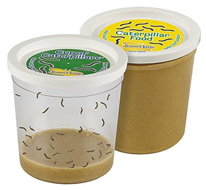 Insect Lore Butterfly Pavilion School Kit with 33 Live Caterpillars - 2ft Tall Habitat, STEM Activity Journal, Cups & Tools Included - Immersive Classroom Life Cycle Learning - style: School Kit 33
