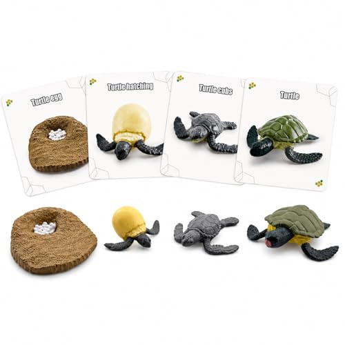 Montessori Life Cycle Animal Figures with Flash Cards, Lifelike Animal Growth Cycle Biological Model Set (Turtle) - style: Turtle