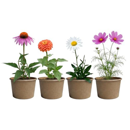 Buzzy Seeds Save the Bees Wildflower Grow Kit 12-Pack, Pollinator Friendly
