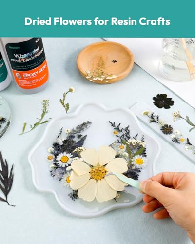 Dried Flowers, Resiners 100Pcs Pressed Flowers for Craft Black Real Natural Dried Flowers Dry Leaves Kit for DIY Making Crafts Resin Soap Candle Scrapbook Supplies Card Making Jewelry - color: Nightfall 100pcs