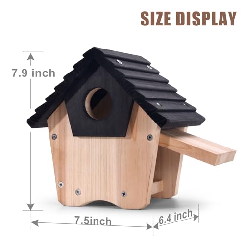 NATUREYLWL DIY Wooden Birdhouse Kit with Side Access