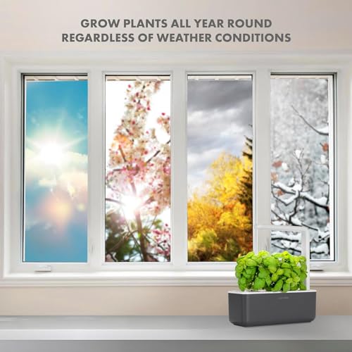 Click & Grow Indoor Herb Garden Kit with Grow Light | Smart Garden for Home Kitchen Windowsill | Easier Than Hydroponics Growing System | Vegetable Gardening Starter (3 Basil Pods Included), Grey - color: Gray