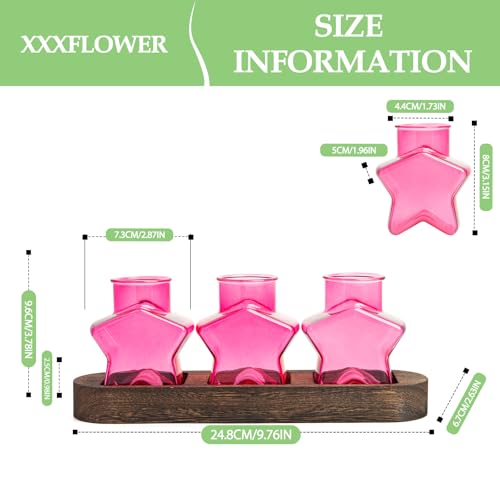 XXXFLOWER Plant Propagation Station with Wooden Stand 3 Pink Star Jars - color: Pink