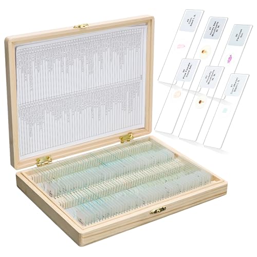 100PCS Microscope Slides with Specimens with Wooden Box, LVQ092 - color: Slides 100PCS