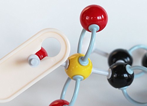 Organic Chemistry Model Student Kit - (125 Pieces) - MM-003
