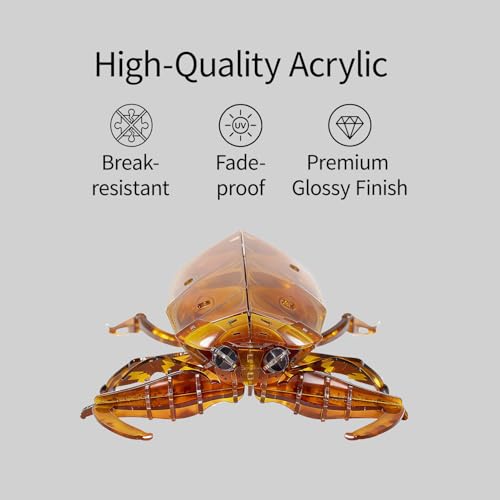 3D Acrylic Insect Puzzle DIY Bug Model Kit Animal STEM Gift - color: Giant Water Bug