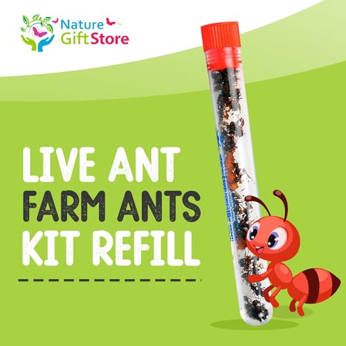 50 Live Ants for Ant Farms (2 Tubes), Honey Treat and Premium Ant Food - style: 50 Live Ants +Honey+Food