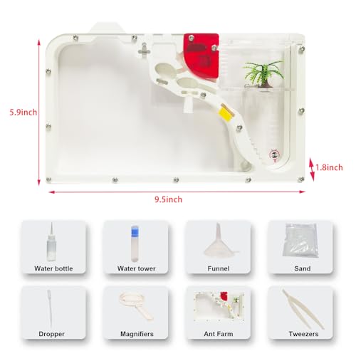 EXBEPE Ant Farm Castle for Kid Acrylic Ant Colony Observation Kit with Sand - style: S12