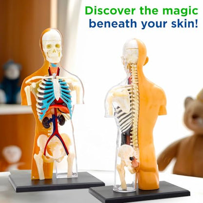 Thames & Kosmos 260830 Human Body Anatomy Model Toy, Multi