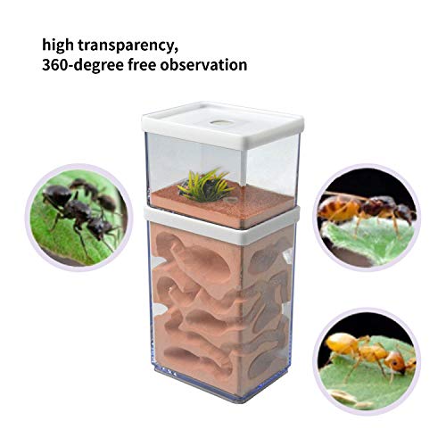 2-Tier Plaster Ant Farm Formicarium Transparent Ant Nest Habitat