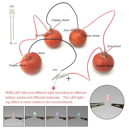 EUDAX Fruit Battery Science Experiment Kit for DIY School Home Teaching Equipment, Orange Lemon Potato Electronic Clock Science Project Kit Physics Educational for Students Teachers (4 Set) - style: 4 Set